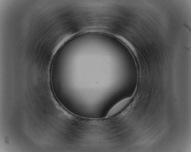 X0000092011341200709061301