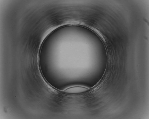 X0000092011343200709061301