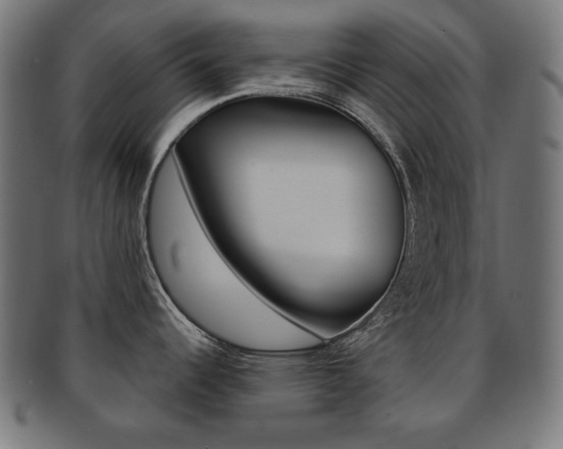 X0000092011344200709061301