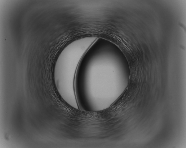 X0000092011345200709061300