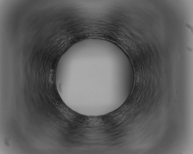 X0000092011346200709061300