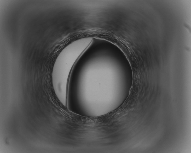 X0000092011349200709061300