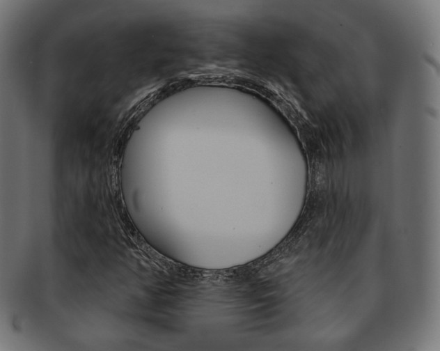 X0000092011350200709061300