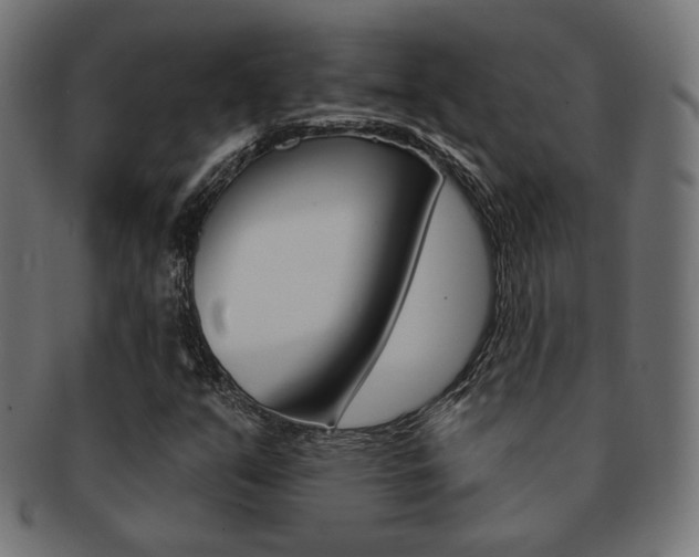 X0000092011351200709061300