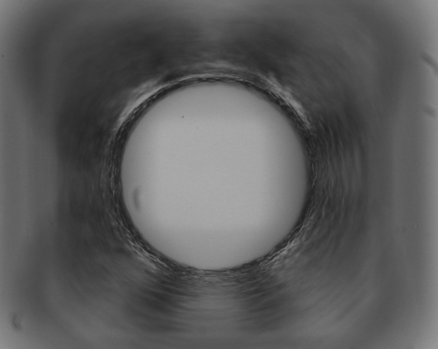 X0000092011352200709061300