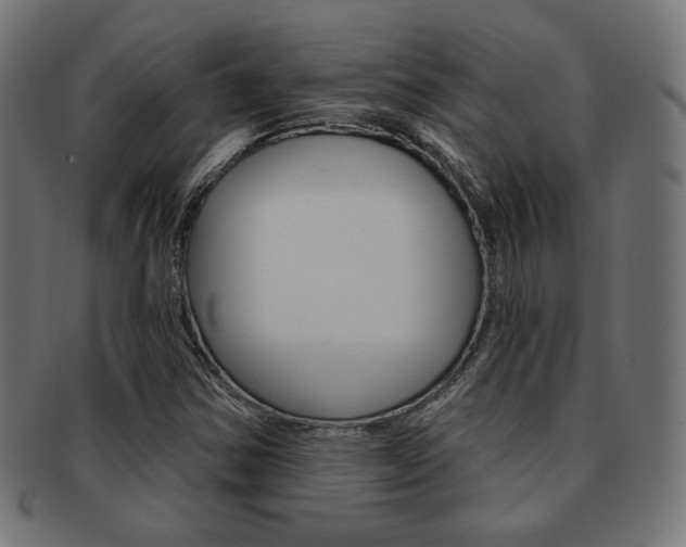 X0000092011354200709061300
