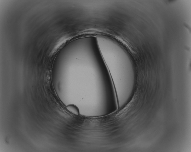 X0000092011355200709061300