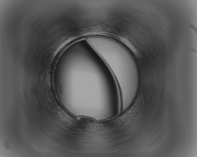 X0000092011356200709061300