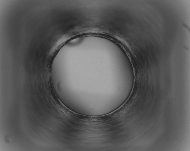 X0000092011359200709061300