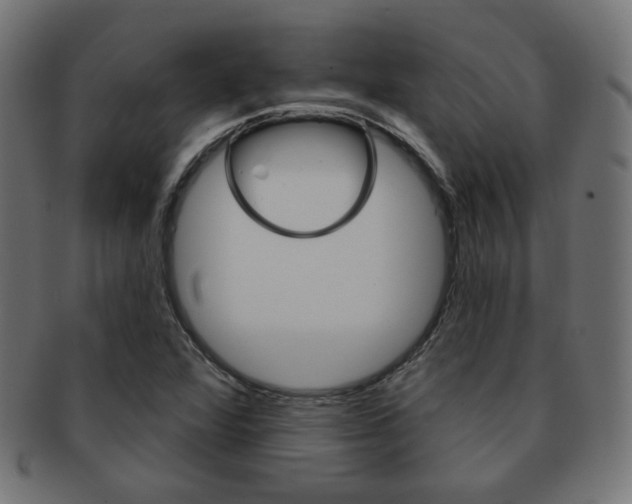 X0000092011360200709061300