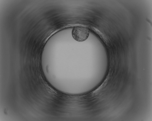 X0000092011361200709061300