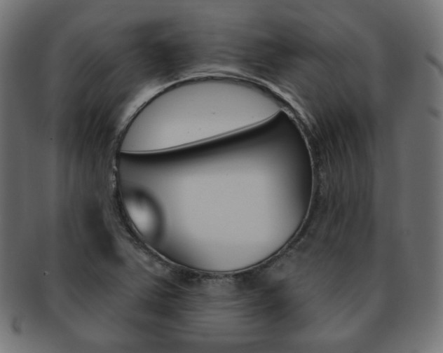 X0000092011363200709061300