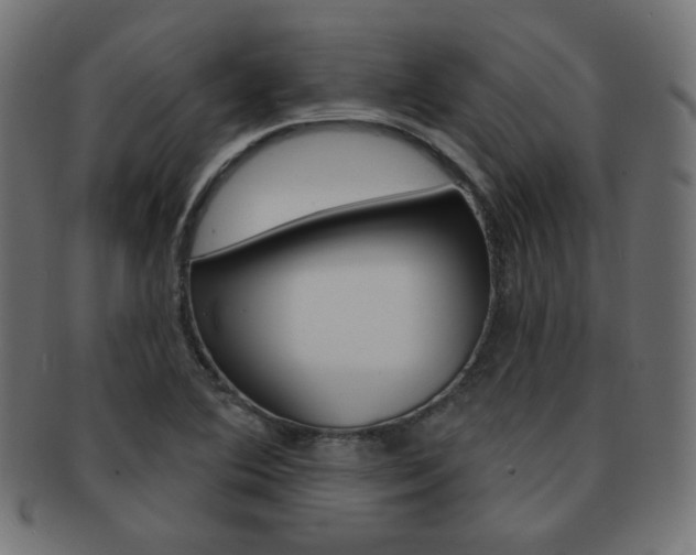 X0000092011364200709061300
