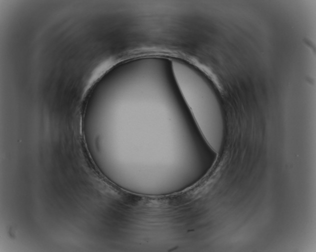 X0000092011365200709061300