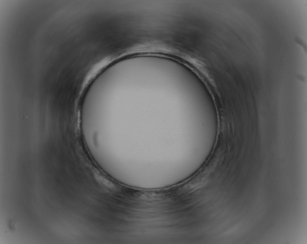 X0000092011366200709061300