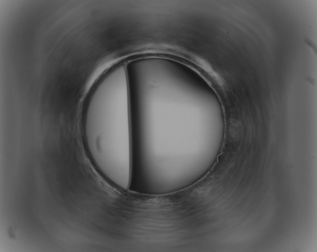 X0000092011368200709061300