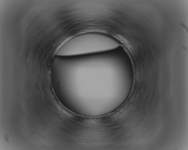 X0000092011369200709061300