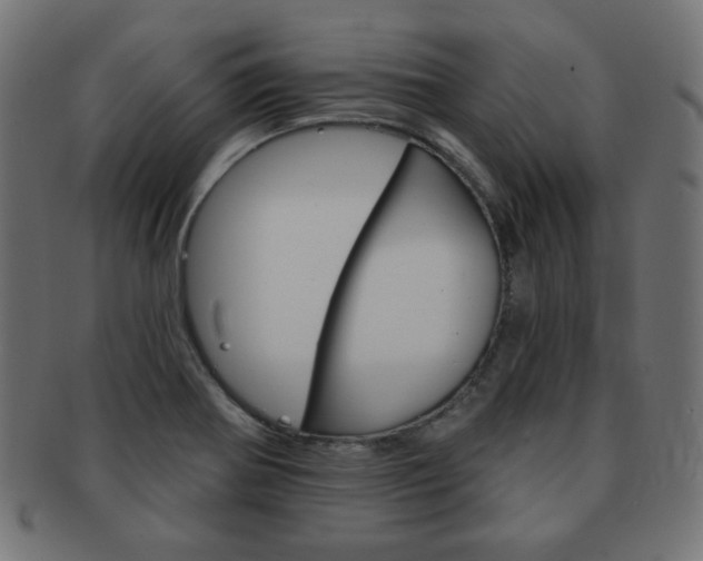 X0000092011370200709061300