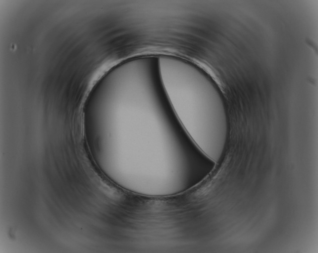 X0000092011371200709061300