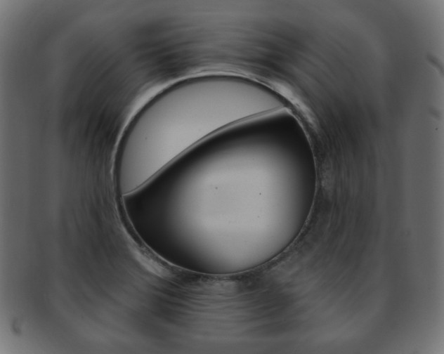 X0000092011372200709061300