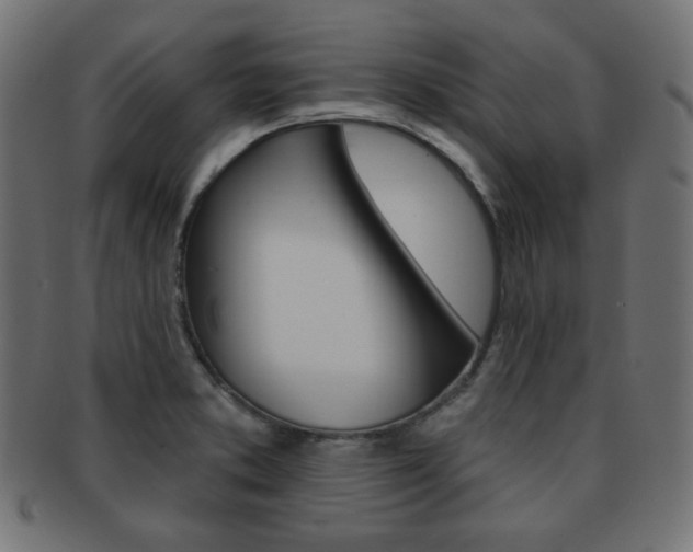 X0000092011373200709061300