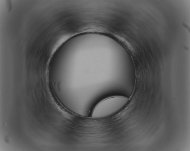 X0000092011375200709061300