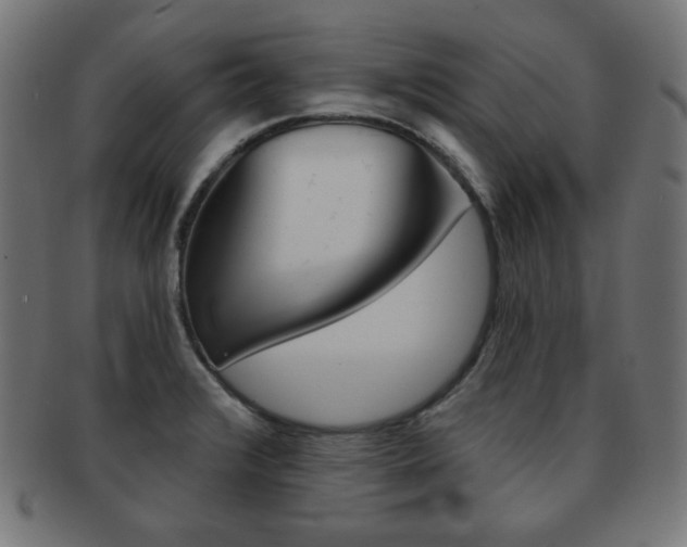 X0000092011376200709061300