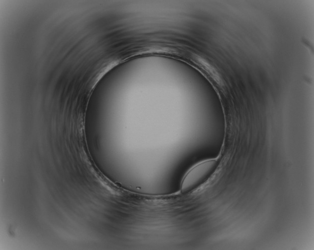 X0000092011377200709061300