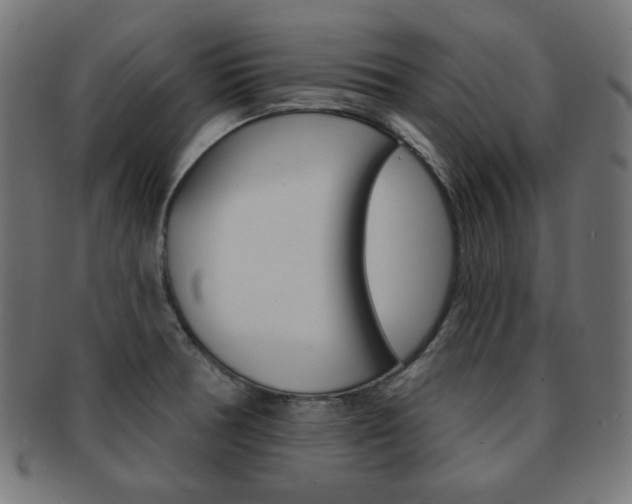 X0000092011378200709061300