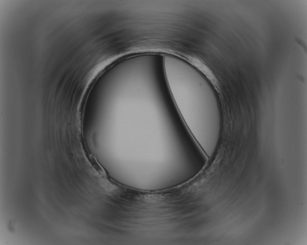 X0000092011380200709061300