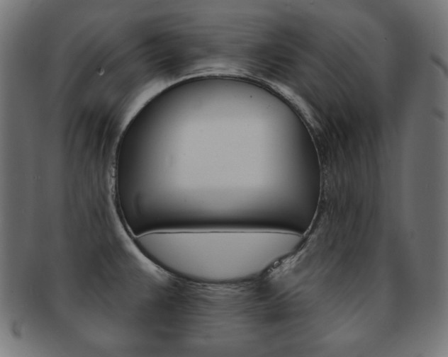 X0000092011383200709061300