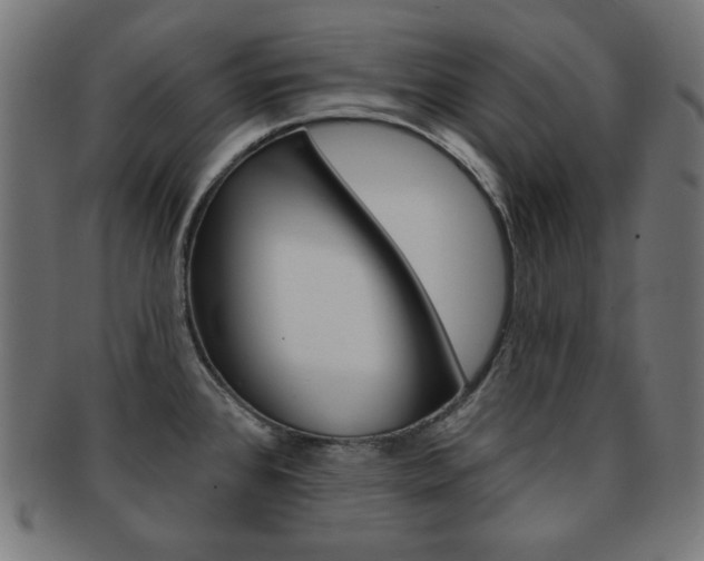 X0000092011384200709061300