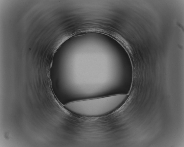 X0000092011385200709061300