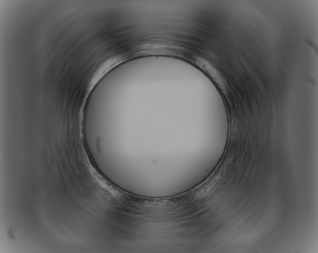 X0000092011386200709061300