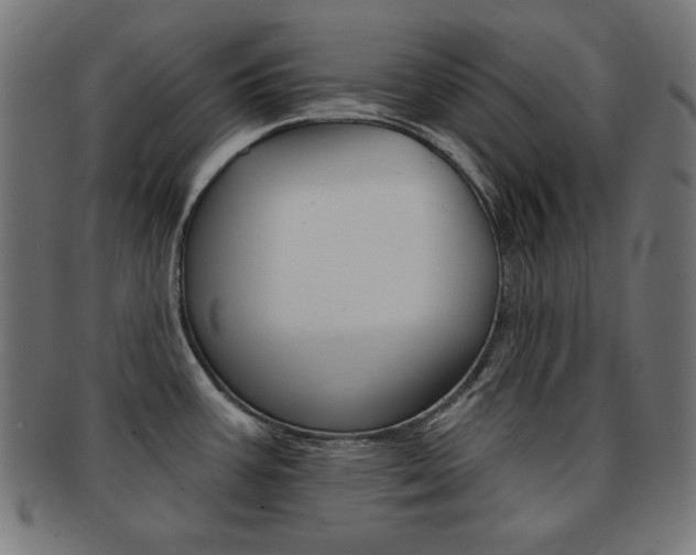 X0000092011387200709061300