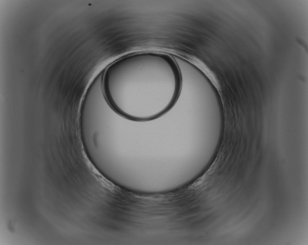 X0000092011388200709061300
