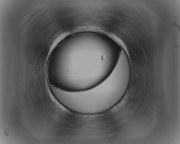 X0000092011389200709061300