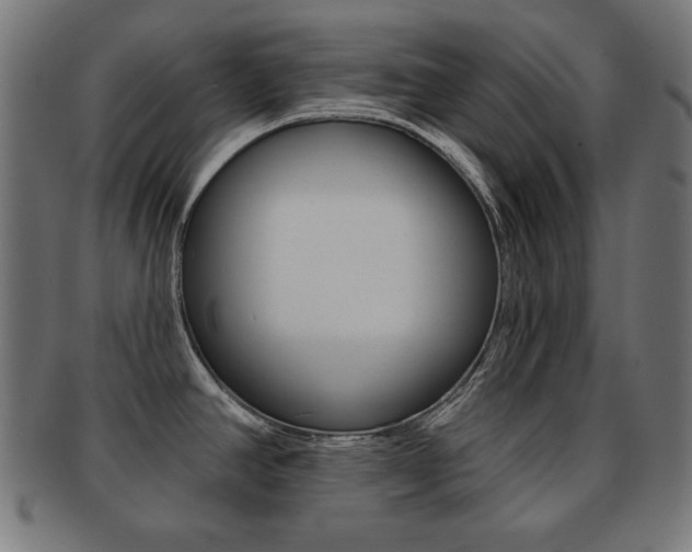 X0000092011390200709061300