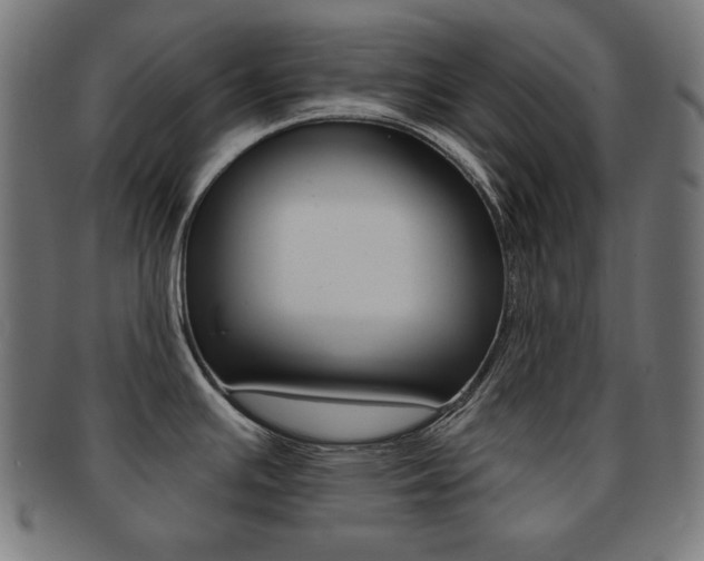 X0000092011391200709061300