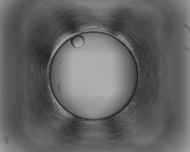 X0000092011392200709061300