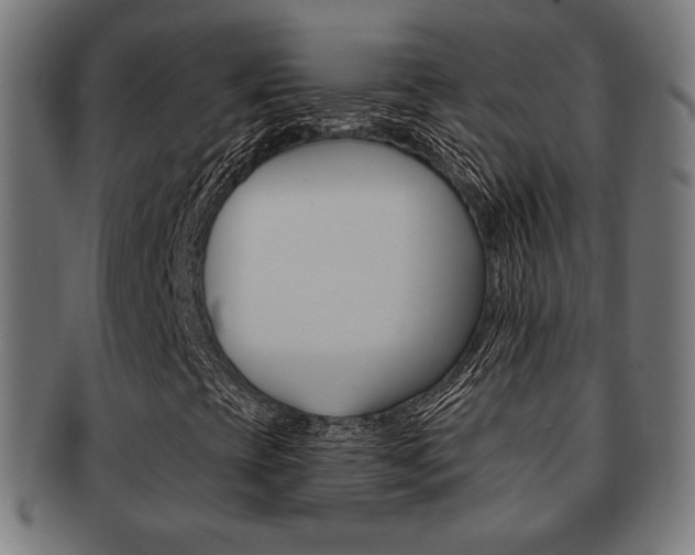 X0000092011393200709061259