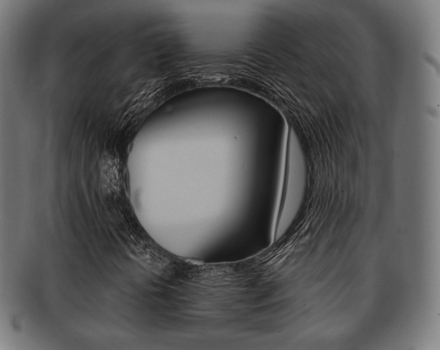 X0000092011394200709061259