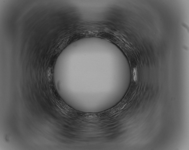 X0000092011395200709061259