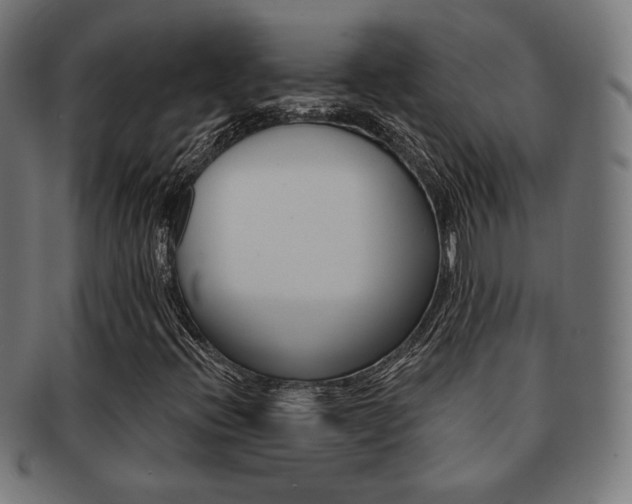 X0000092011396200709061259