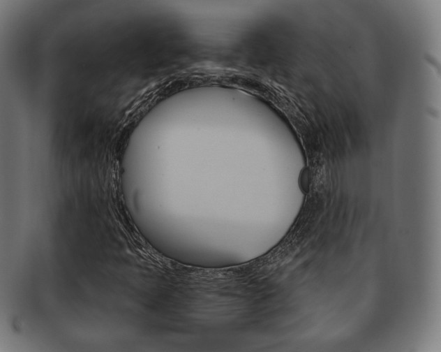 X0000092011397200709061259