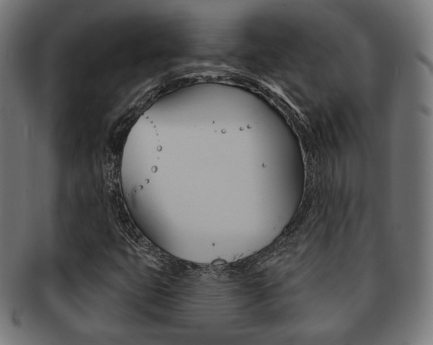 X0000092011399200709061259
