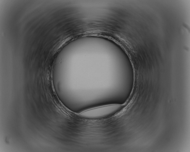 X0000092011401200709061259