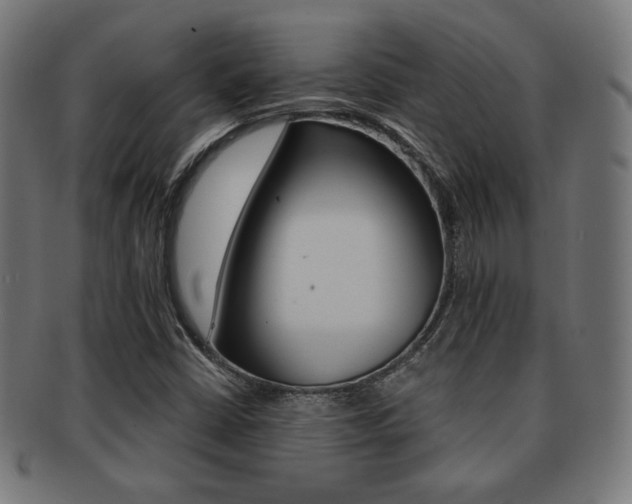 X0000092011402200709061259