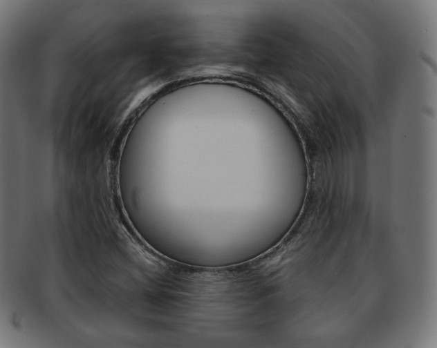 X0000092011404200709061259
