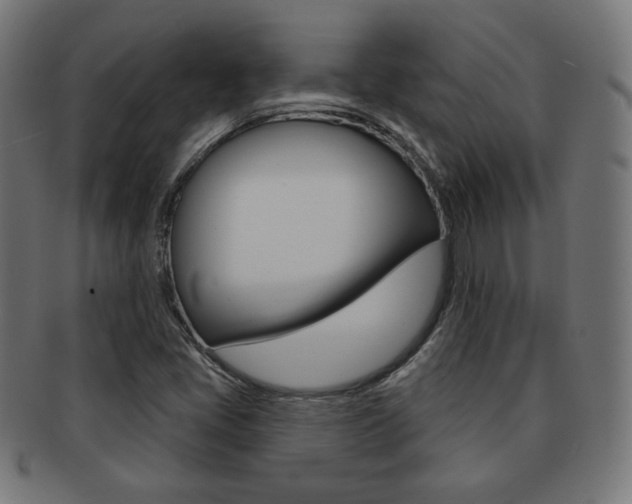 X0000092011405200709061259
